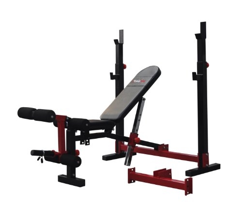 Bodymax CF520 Elite Folding Standard – Olympic Bench
